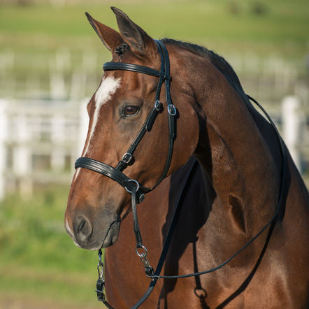 Horze Leather Bitless Bridle Black / Horse