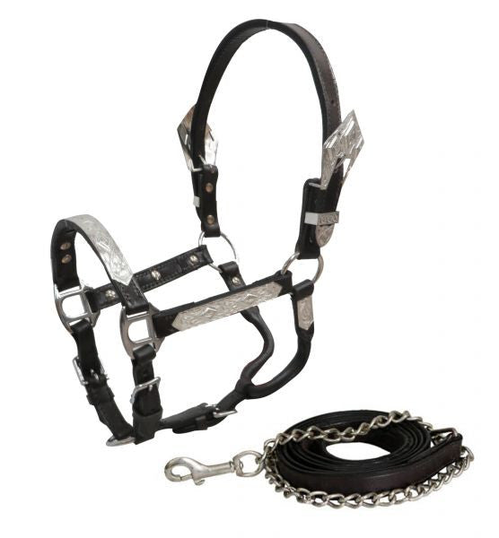 Showman ® Belt Halter with Rodeo Conchos and Buckles. – Dark Horse Tack  Company