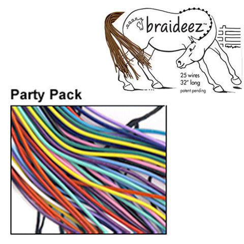 Braideez Wire Braiding Bands Party Pack