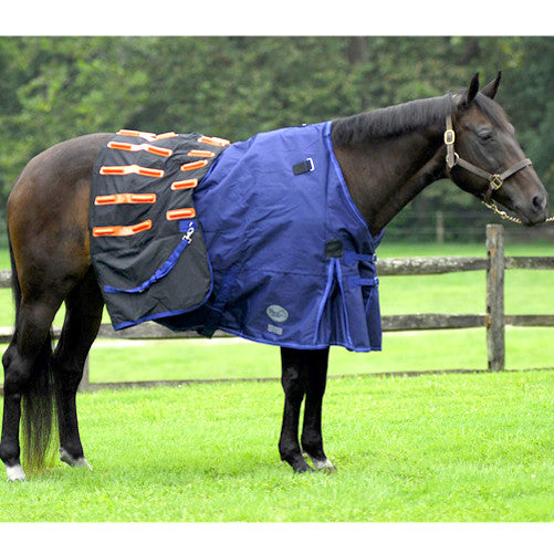 Cool Heat Winter Combo Blanket – Dark Horse Tack Company