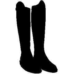 Tall Boots