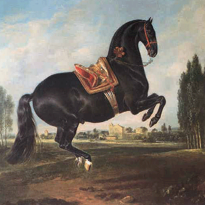 Horses - Black Horse in Courbette - 6 pack