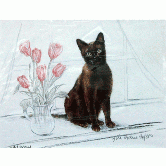 Corinium Fine Art Cat Prints - Burmese Cat