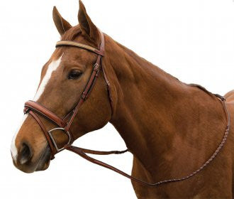 Exselle Elite Raised Padded Fancy Stitched Bridle with x brow BN