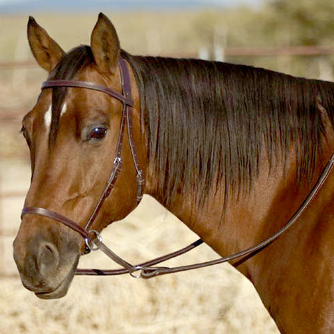 Nurtural Horse Impressive Leather English Bitless Bridle