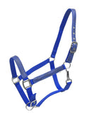 Showman ® Full Size adjustable halter with zebra print.   Average horse 800-1100 Lbs