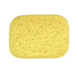 GROOMING SPONGE