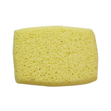 GROOMING SPONGE