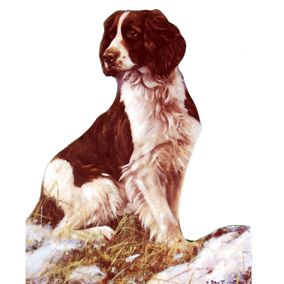 Dogs - Springer in the Snow (English Springer) - 6 pack