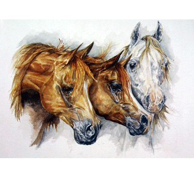 Horses - Omani Arabs (Arabian Horse) - 6 pack