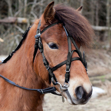 Open bridle, synthetic, pony