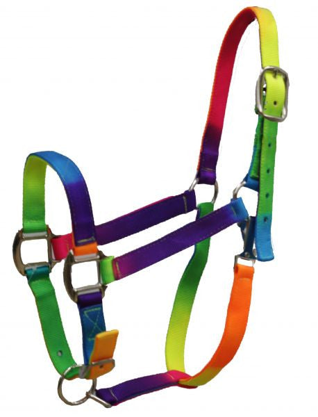 Showman rainbow colored 3 ply nylon halter with adjustable nose