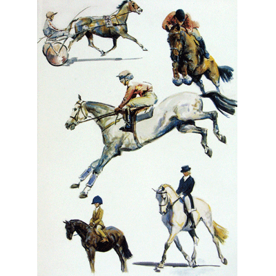 Horses - Sports Horses - 6 pack