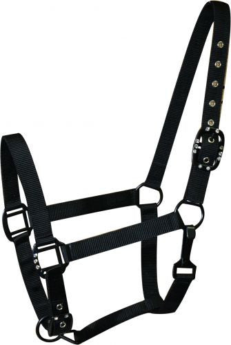 2 Ply Full Size Adjustable Halter with Black Hardware Accented with Cr –  Dark Horse Tack Company