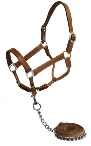 Showman ® Horse Size Medium leather halter with chain lead.