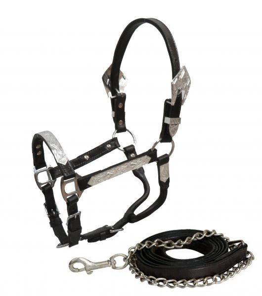 Showman® Pony Dark leather show halter with lead.