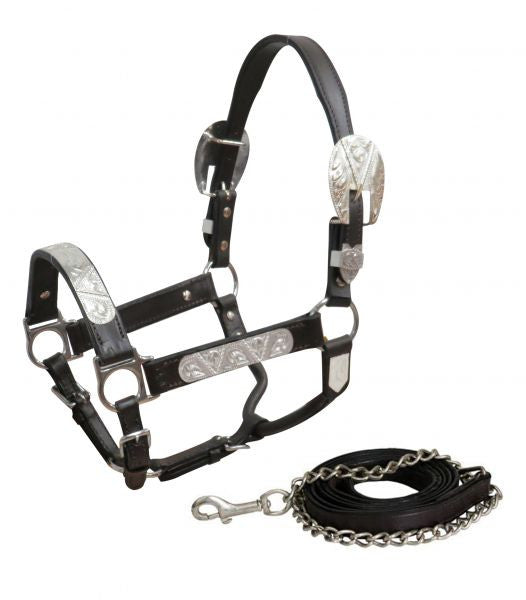 Showman® Yearling/Small Horse Dark leather show halter with lead.