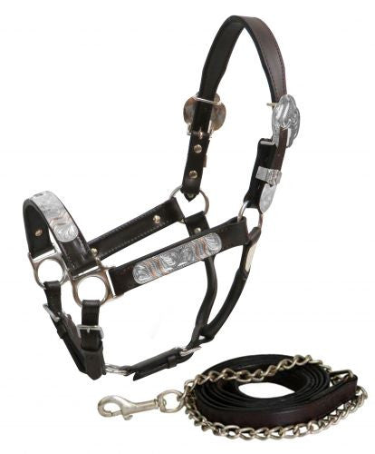 Showman® Yearling leather show halter with lead.