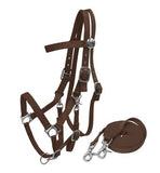 Nylon combination halter bridle with reins.
