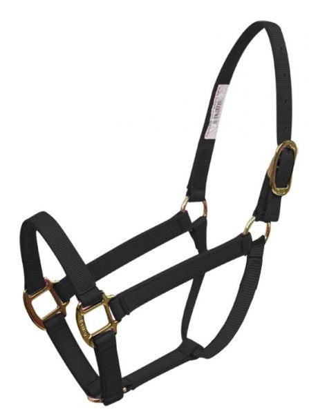 BMB  Classic halter with brass plated hardware and adjustable crown