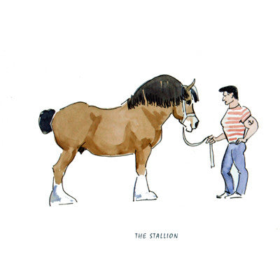 Horses - The Stallion - 6 pack