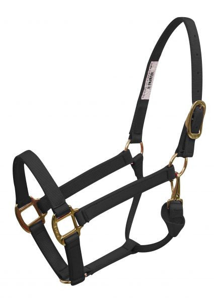 BMB  Premium halter with brass plated hardware