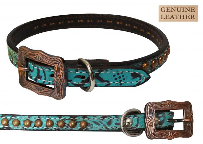 Showman Couture ™ Genuine leather teal filigree dog collar with copper studs.