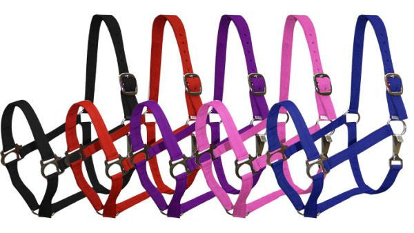 2 Ply Cobb size turnout nylon halter with snap