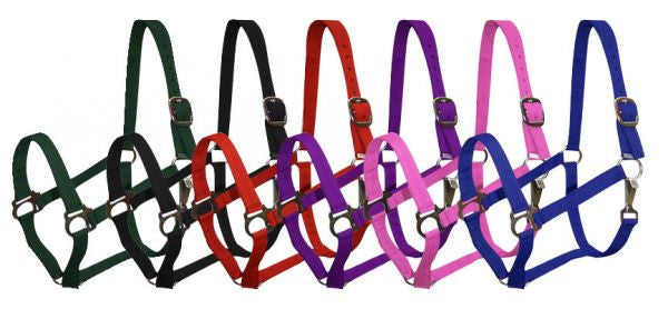 2 Ply Pony size turnout nylon halter with snap