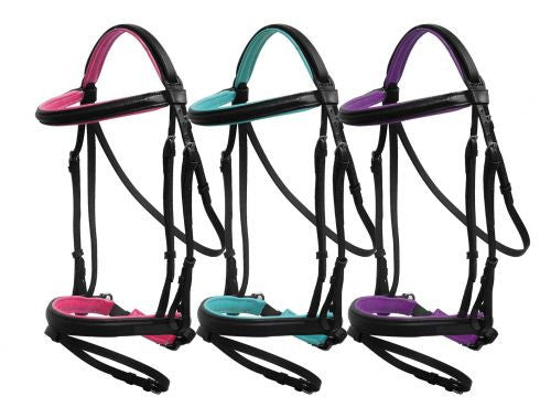 Showman ® Color padded english bridle with flash cavesson