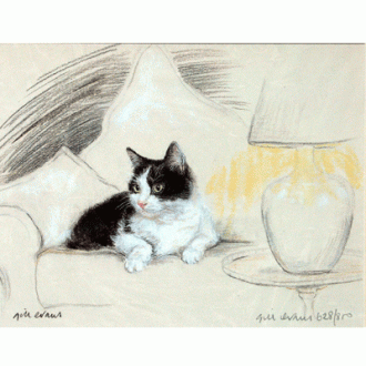 Corinium Fine Art Cat Prints - Black & White Cat