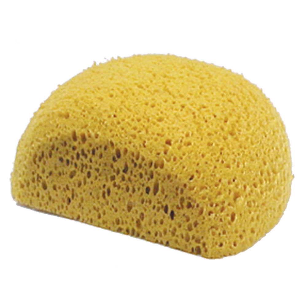 Large Body Sponge