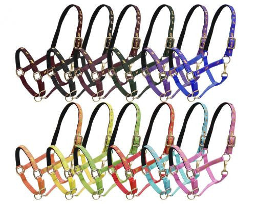 Package of 12 Assorted neoprene lined nylon horse size halters