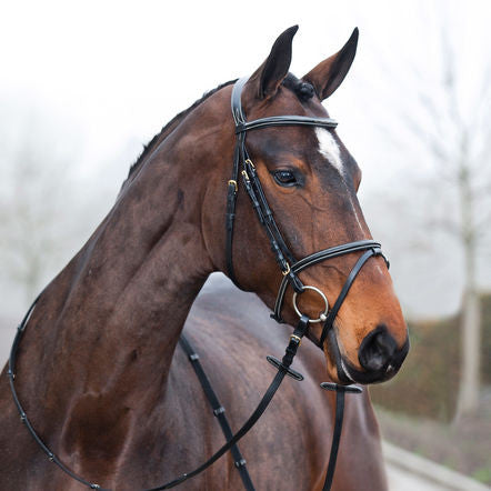 Horze Constance Padded Flash Bridle
