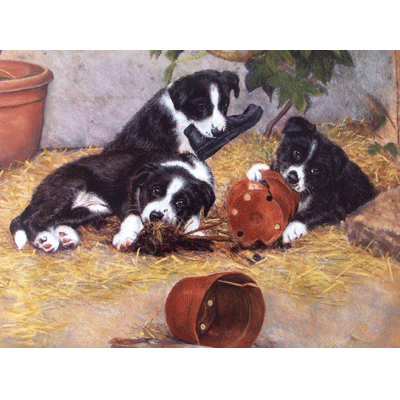 Dogs - The Young Gardeners (Border Collies) - 6 pack