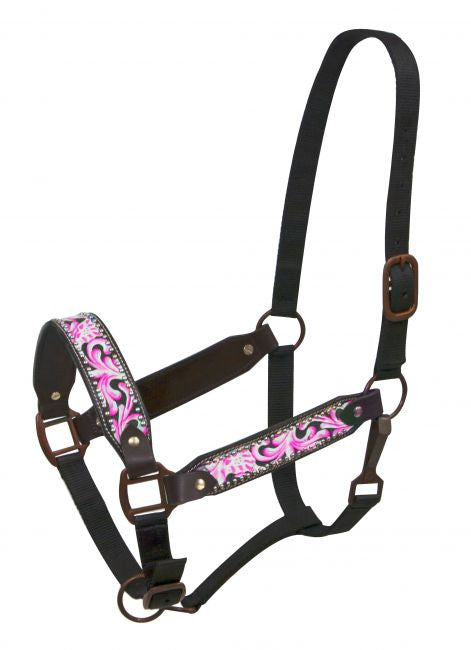 Showman FULL SIZE Painted filigree belt halter with antique style hardware
