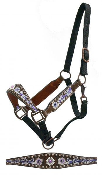 Showman Belt style halter with purple painted floral tooling and purple daisy concho