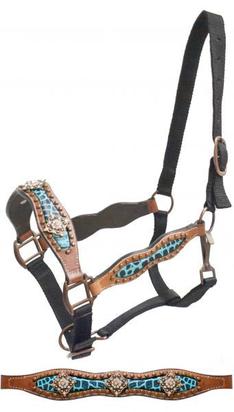 Showman FULL SIZE belt style halter with teal alligator print inlay and crystal rhinestone conchos