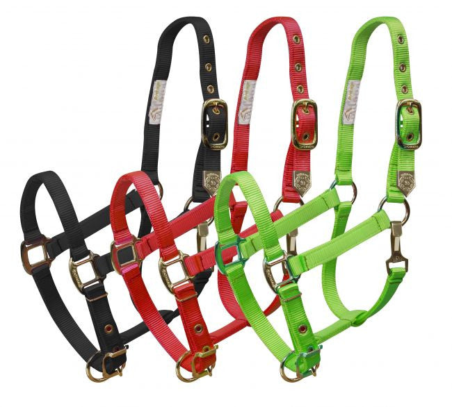 Showman Large horse size adjustable nose & throat latch halter is constructed of premium nylon and brass hardware.