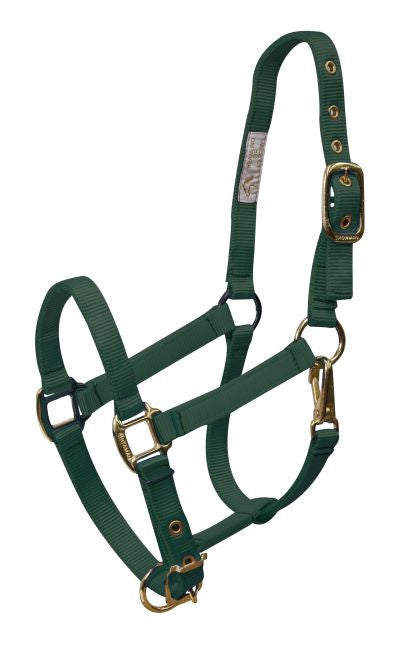 Showman Weanling size adjustable nose & throat latch halter is constructed of premium nylon and brass hardware