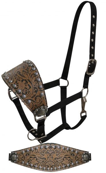 Showman Adjustable bronc style halter with filigree print accented with small studs and engraved conchos
