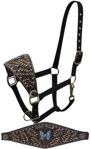 Showman FULL SIZE Bronc halter with painted tooling and blue painted butterfly