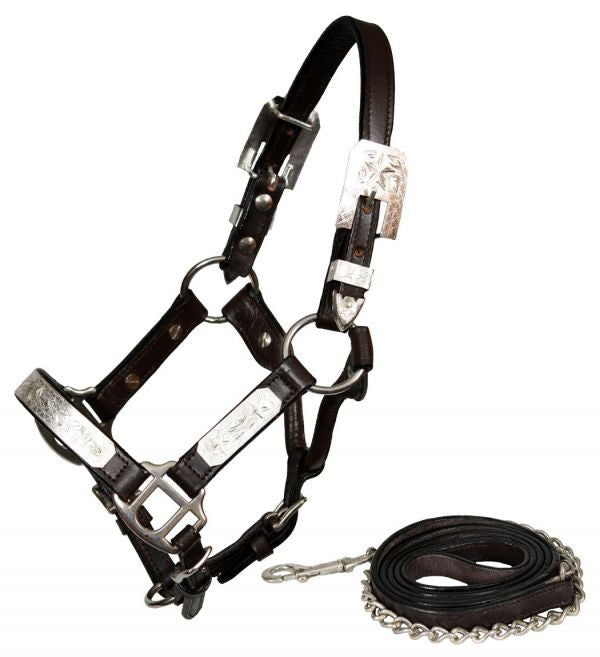 Showman double stitched leather mini size silver show halter with silver star overlay