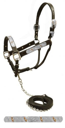 Showman Dark leather show halter with engraved silver plates accented with engraved copper