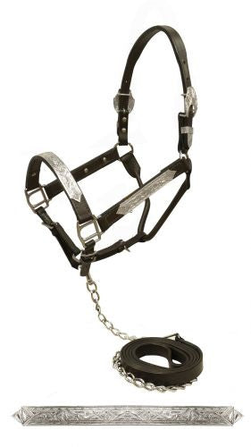 Showman Dark leather show halter with engraved silver plates