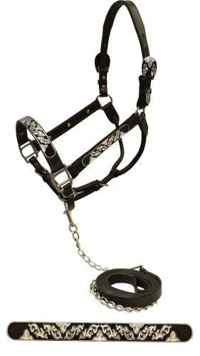 Showman Dark leather show halter with engraved black inlay silver plates and buckles with a silver filigree design