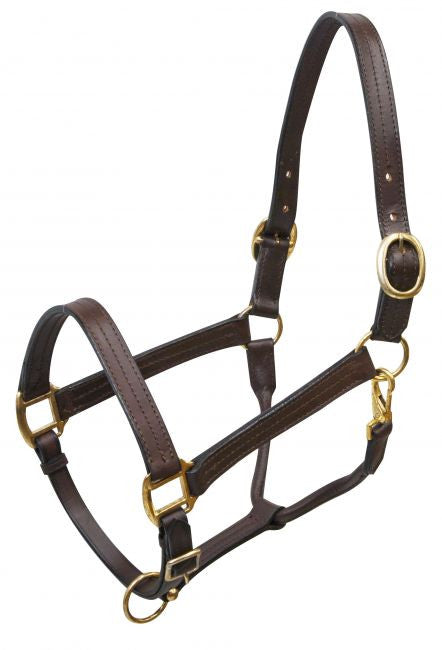 Large horse size (1100-1600lbs) leather halter with brass hardware
