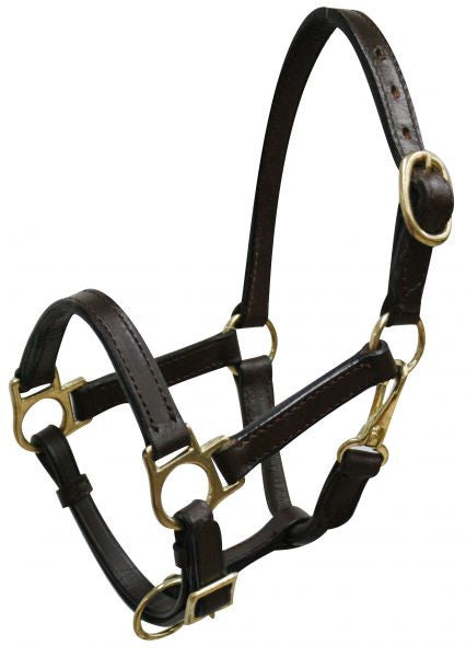 Weanling/Small Pony size leather halter with brass hardware
