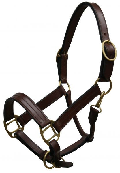 Yearling size leather halter with brass hardware