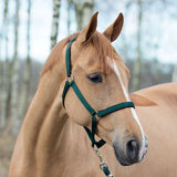 Horze Supreme Halter with Lining